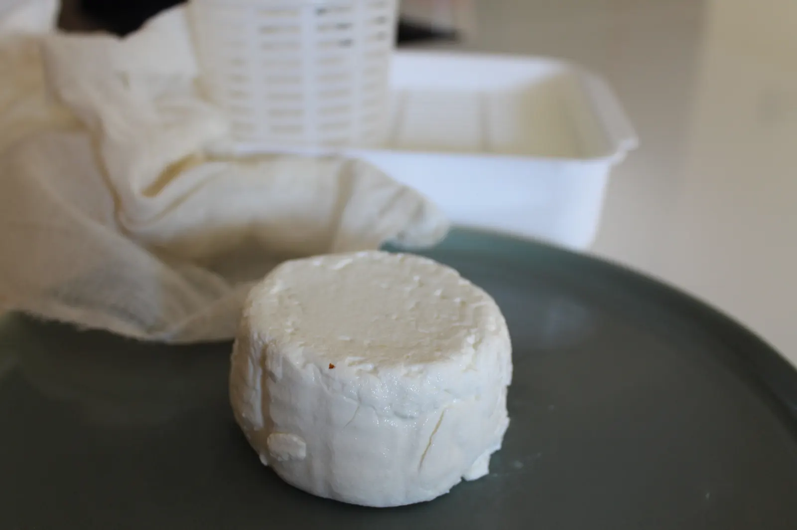 Queso fresco casero de regalo