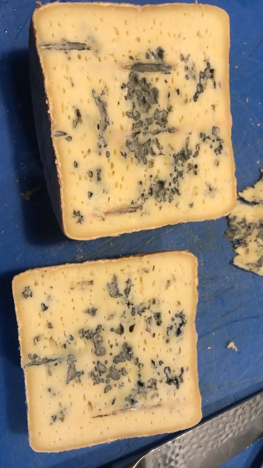 Curso de Quesos Verdes y Azules