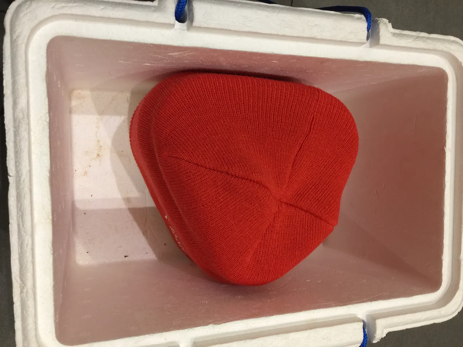 Bote recubierto con gorro de lana