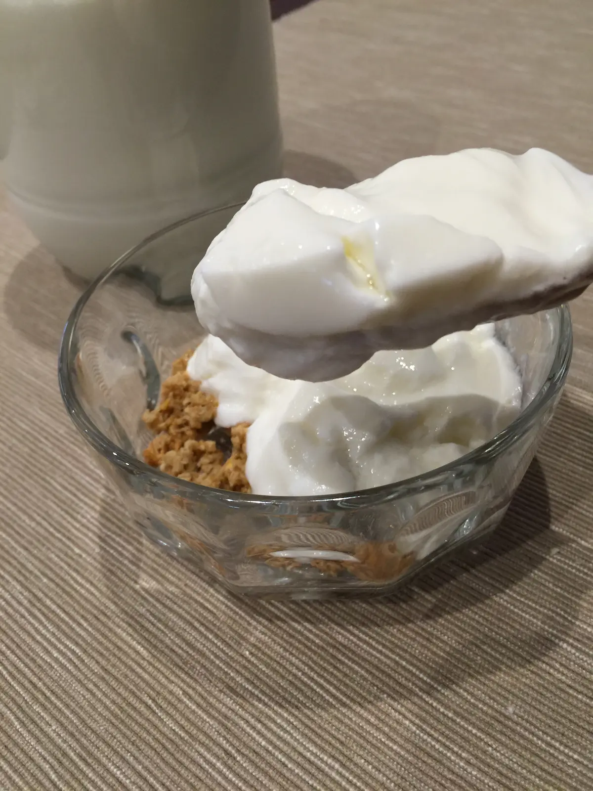 Yogur casero espeso y cremoso servido con cereales en bol