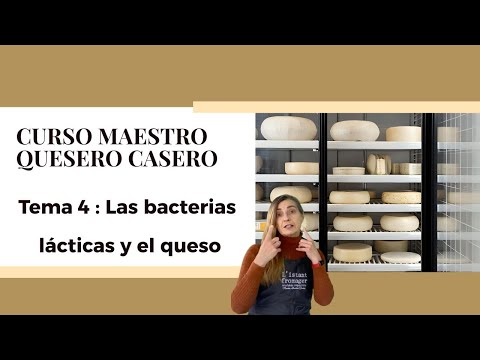 Tema 4 - Los fermentos o bacterias queseras